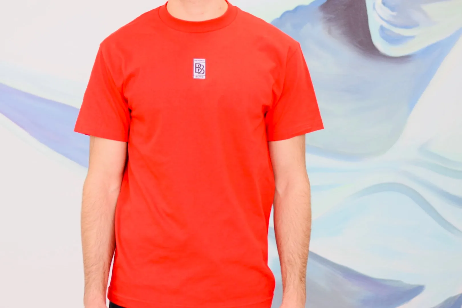 Backpackboyz T-SHIRT - Various Colors/Sizes - (1 Count)