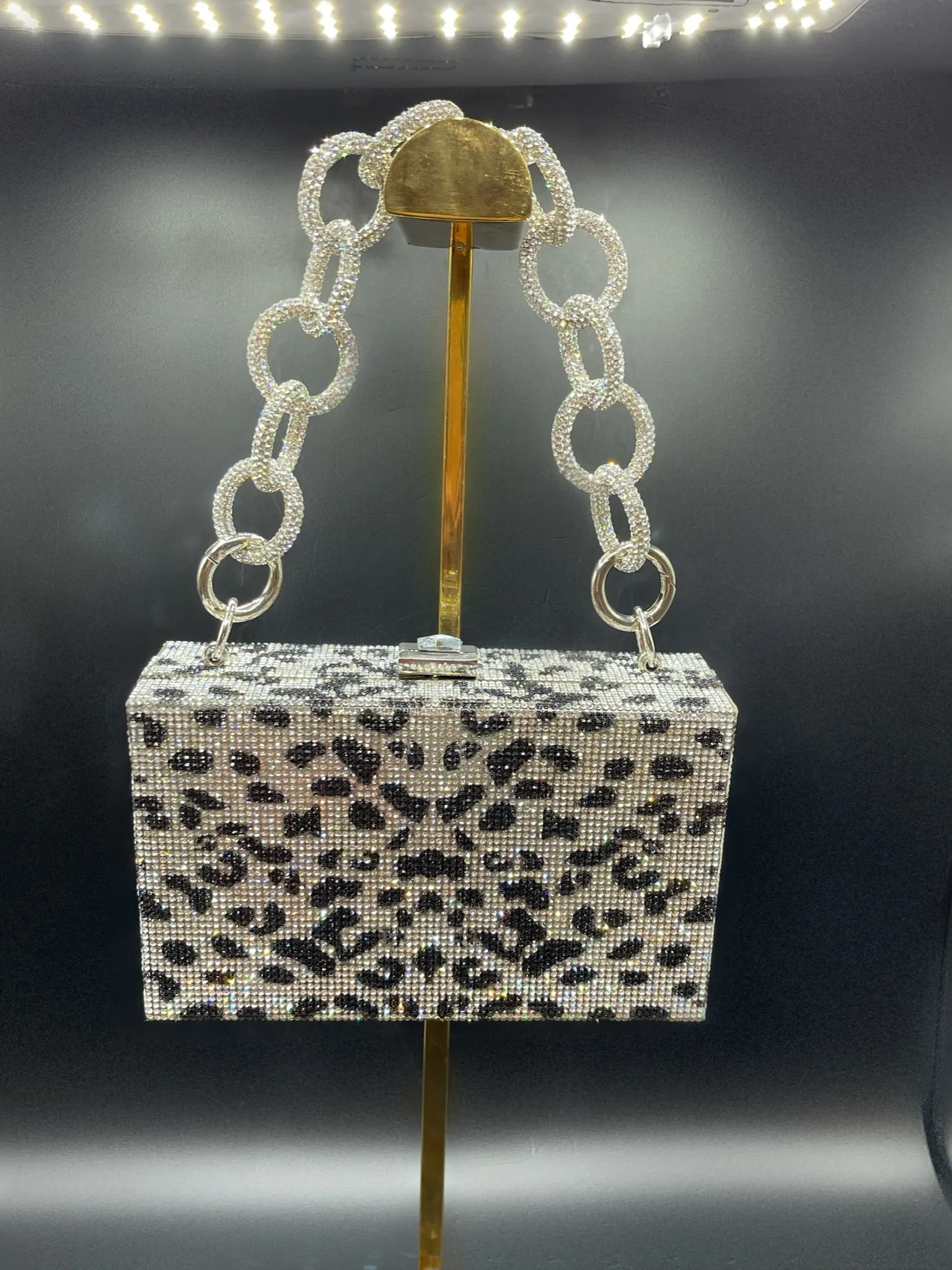 Black and Silver Cheetah