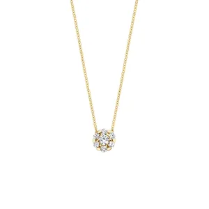 Blush - Collier - Or Jaune 14k, zircon (3097YZI)