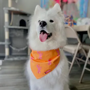 Can't Touch This Bandana