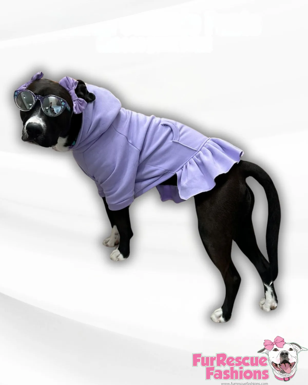 Casual & Pawfect Hoodie Dress