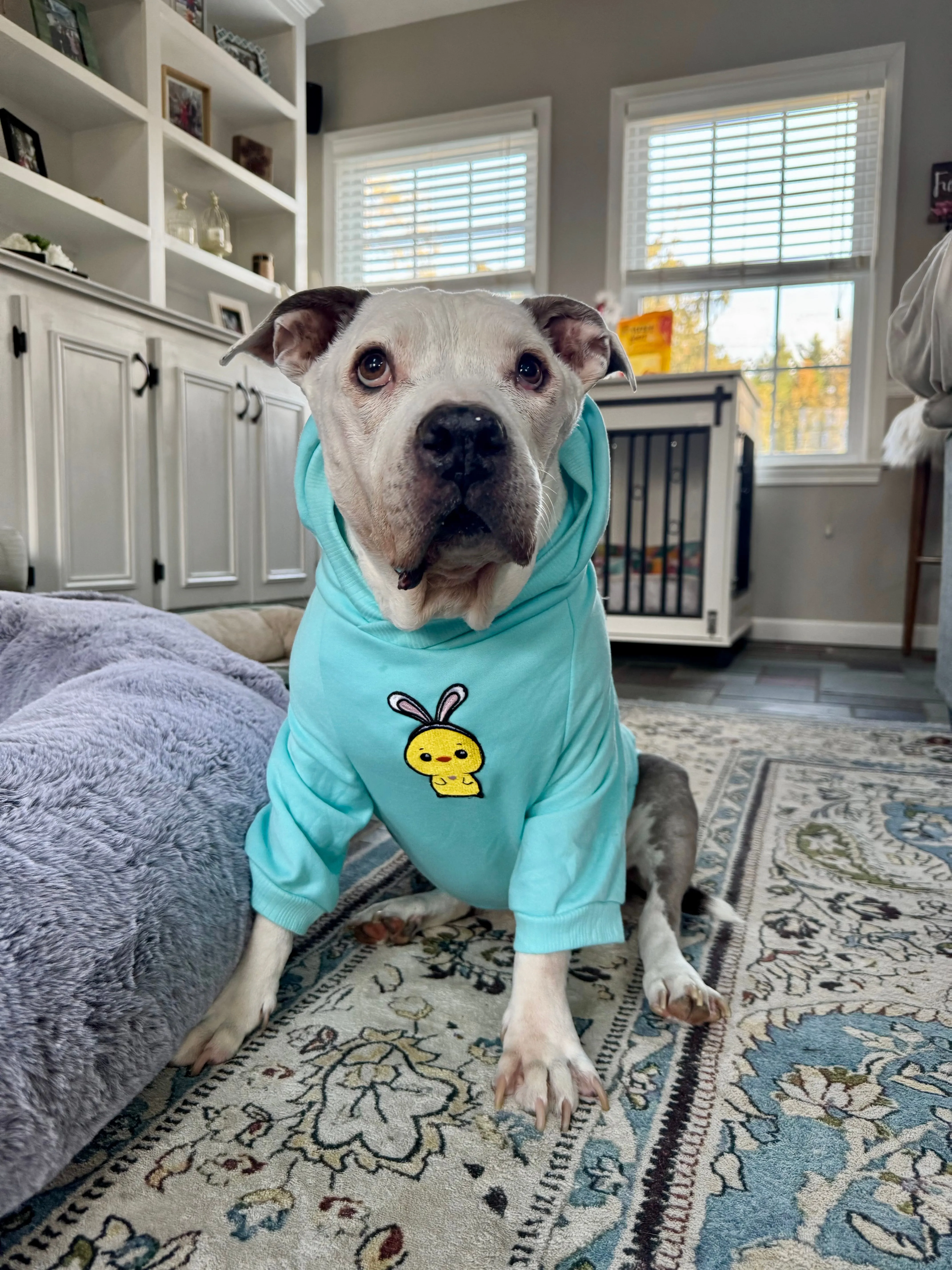 Chicky Peeps Hoodies (comes in 2 different colors)