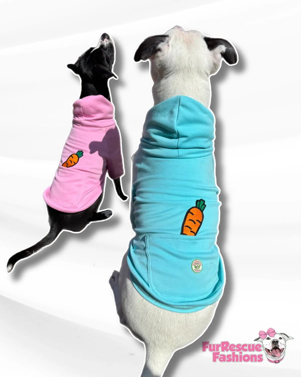 Chicky Peeps Hoodies (comes in 2 different colors)