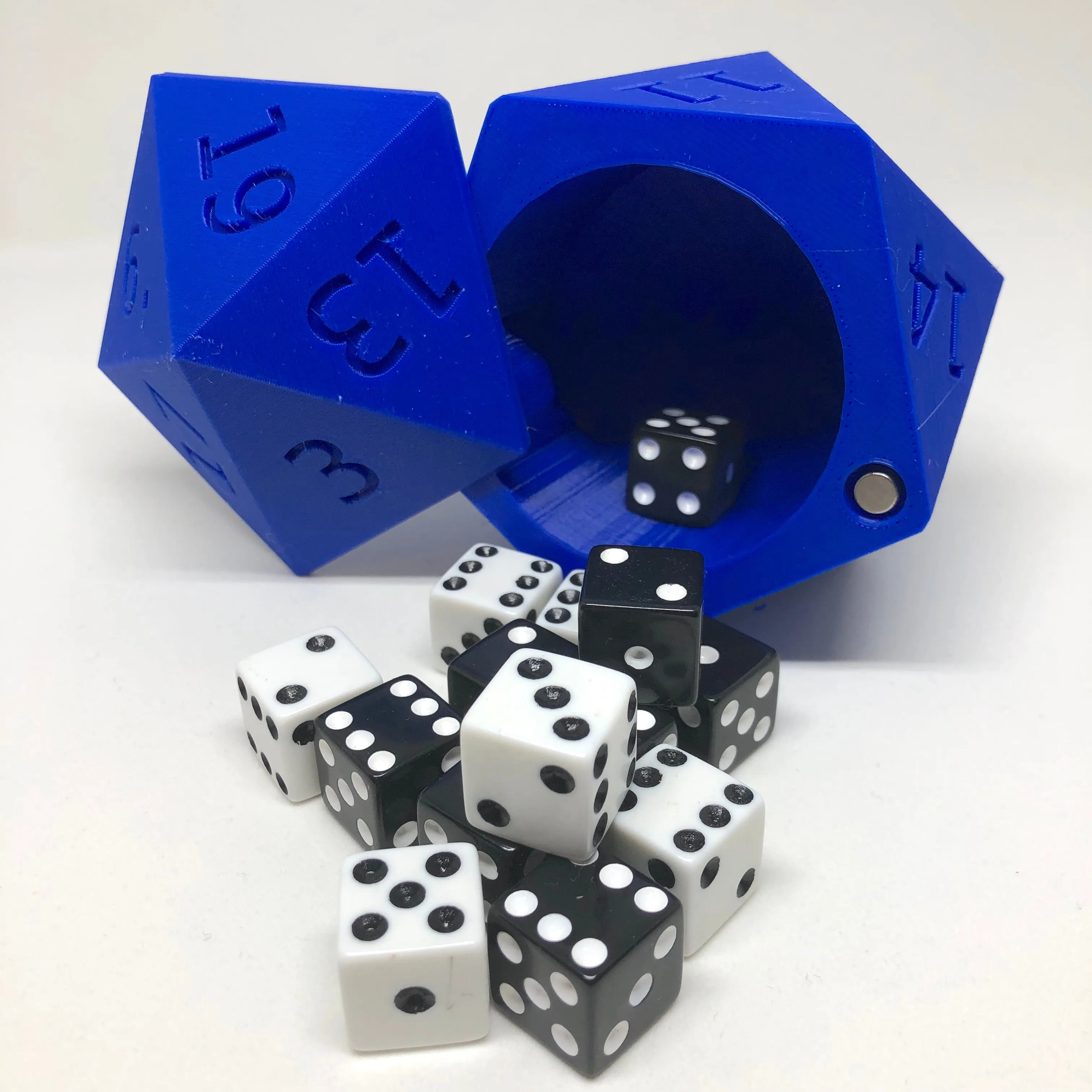 D20 Dice Case Storage Container w Magnetized Lid - Large Fits 13 D6