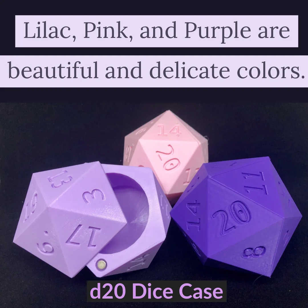 D20 Dice Case Storage Container w Magnetized Lid - Large Fits 13 D6