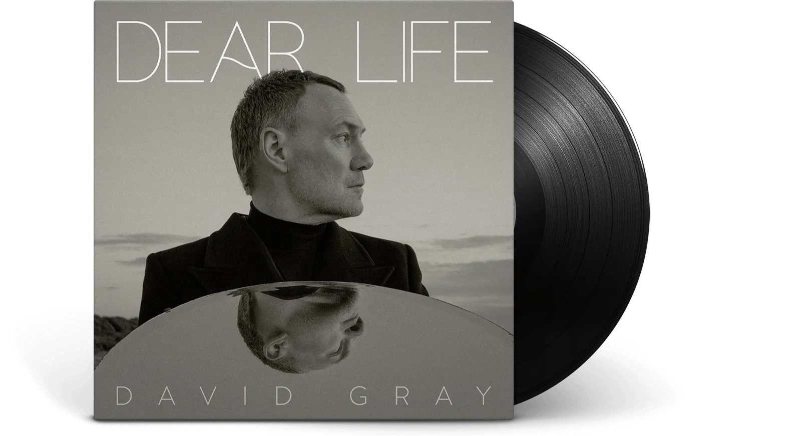 David Gray : Dear Life