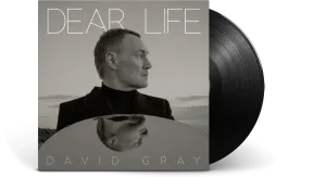 David Gray : Dear Life