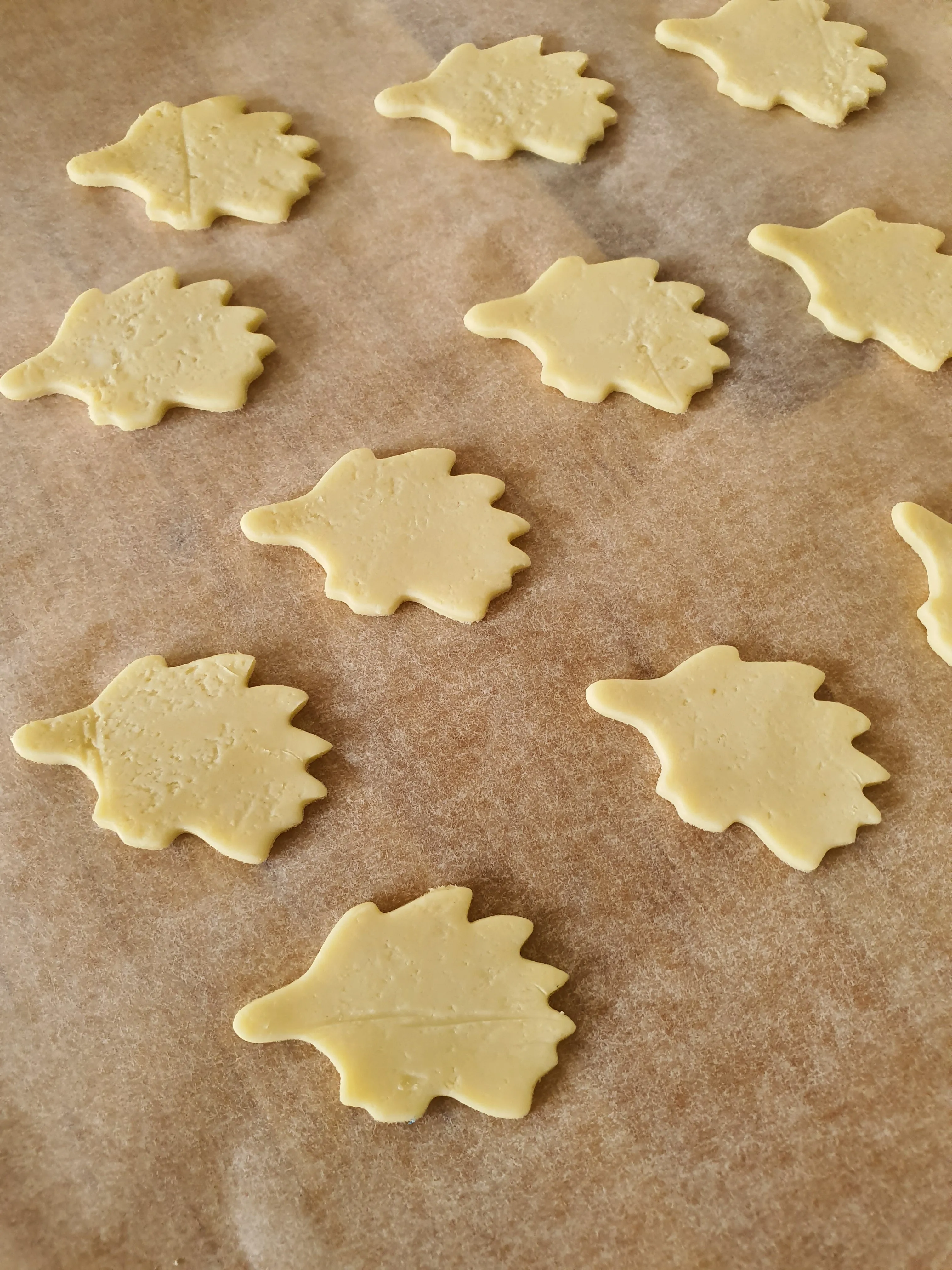 Echidna Cookie Cutter 4.3 cm