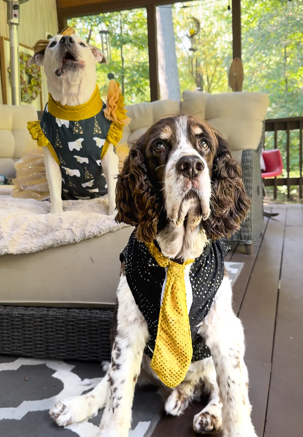 Fancy Sequins Tux Dog Vest with Tie