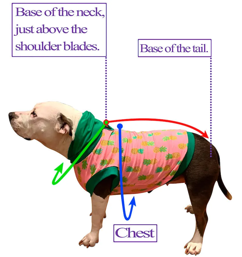 Fancy Sequins Tux Dog Vest with Tie