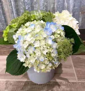 Farmhouse Chic