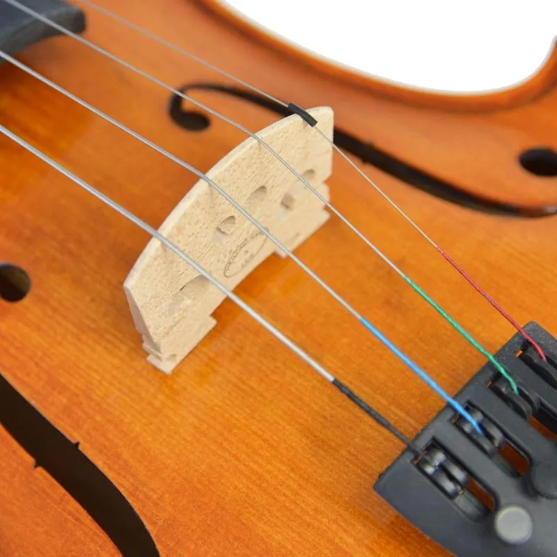 Forenza Prima 2 Viola Outfit - 15.5 Inch