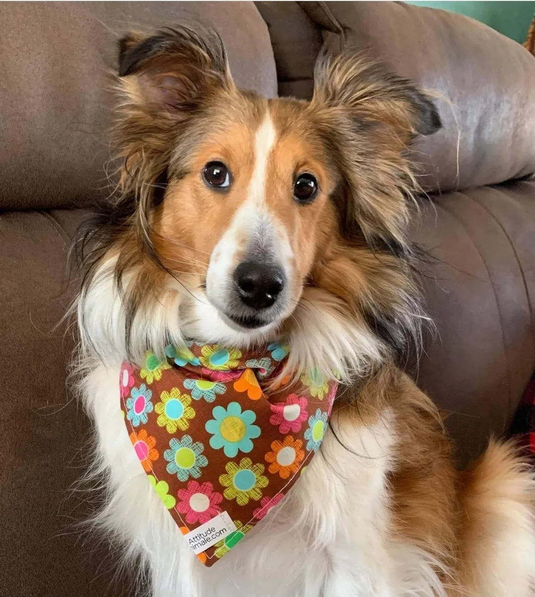 Foulard chic pour grand chien - Carrés de picots noirs et blancs