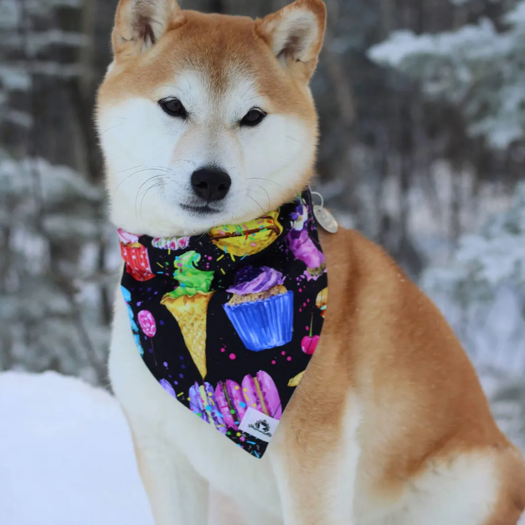 Foulard chic pour grand chien - Carrés de picots noirs et blancs