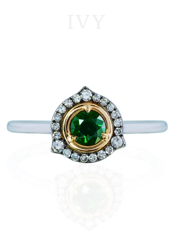 IVY Orbit Ring