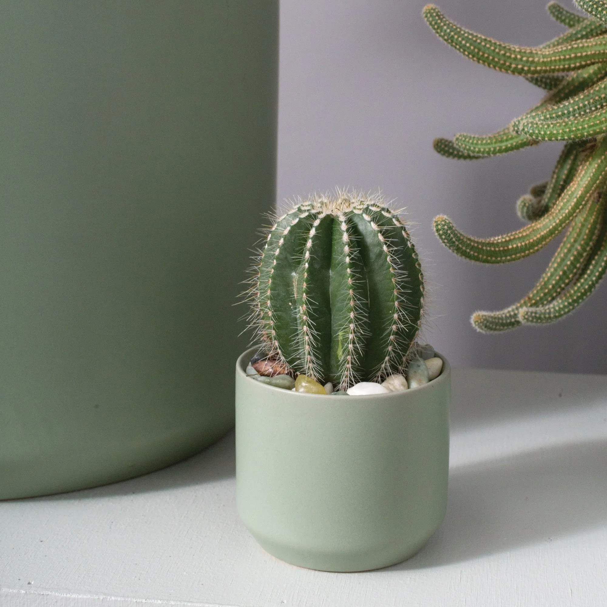 KENDALL SAGE POT
