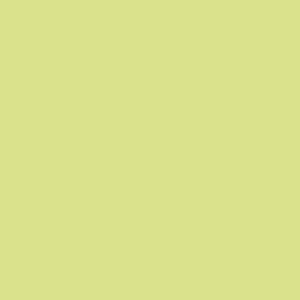 Light Green in Designer Cotton Solid by Riley Blake Designs
