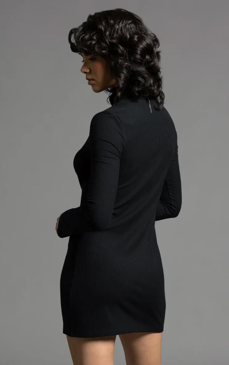 Long Sleeve Turtle Neck Dress