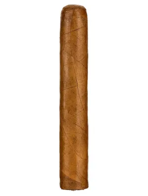 Lost & Found Instant Classic Vintage 2016 Robusto