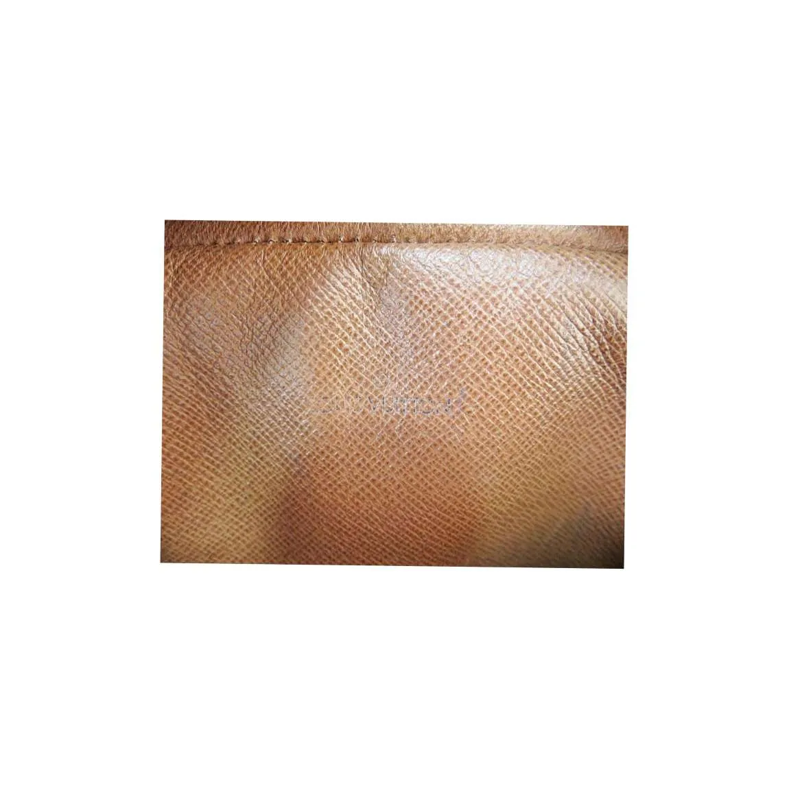 LOUIS VUITTON Amazone Monogram Crossbody Bag
