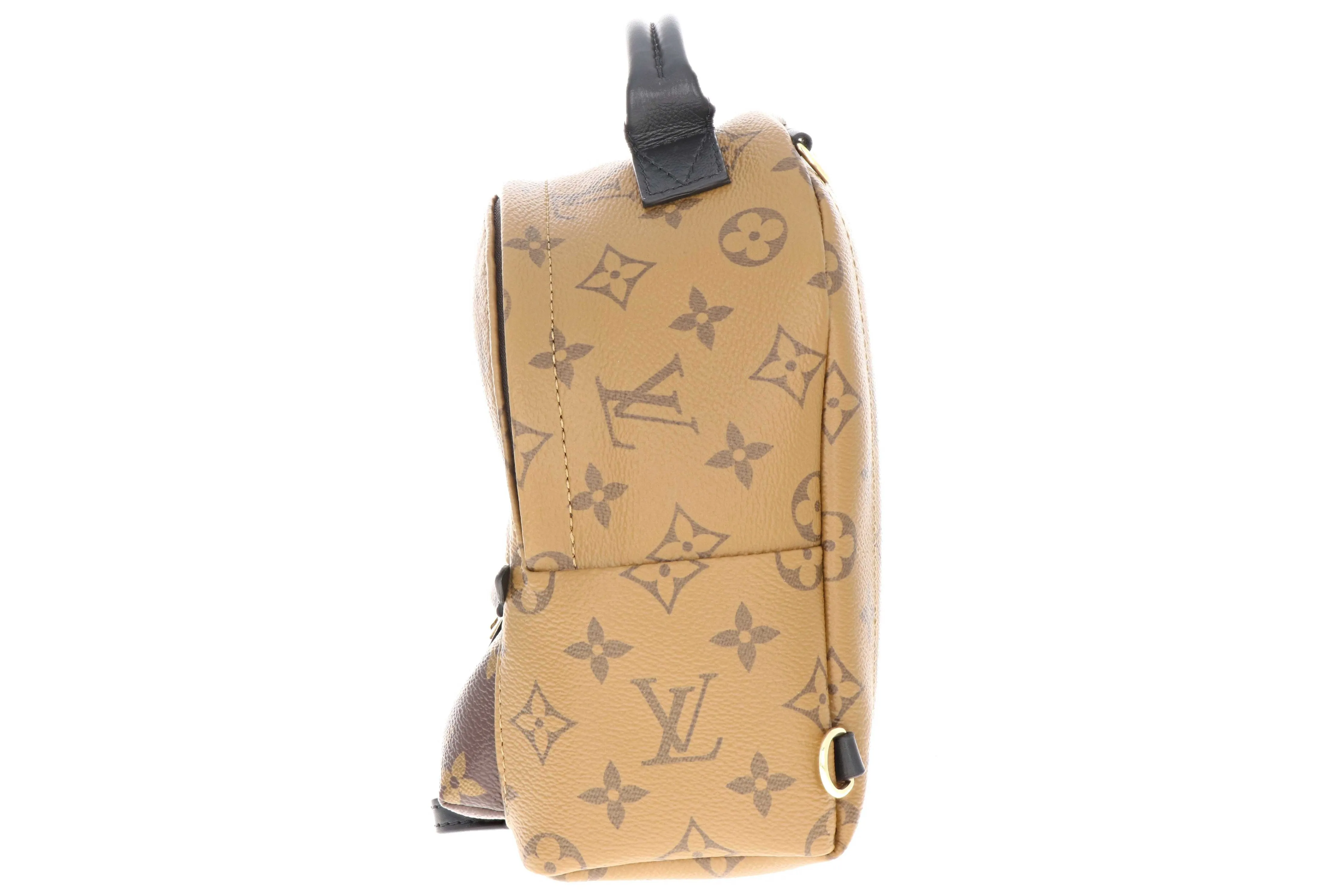 Louis Vuitton Mini Reverse Palm Springs Backpack