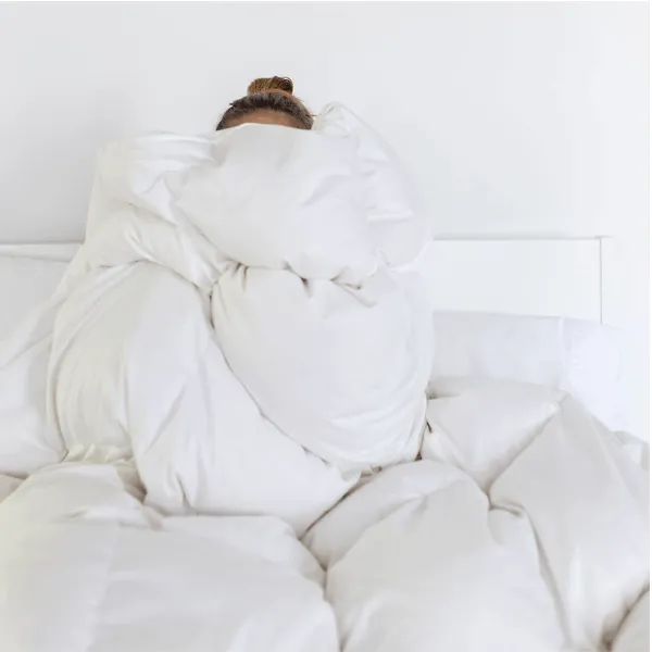 Luxury Down Alternative Duvet