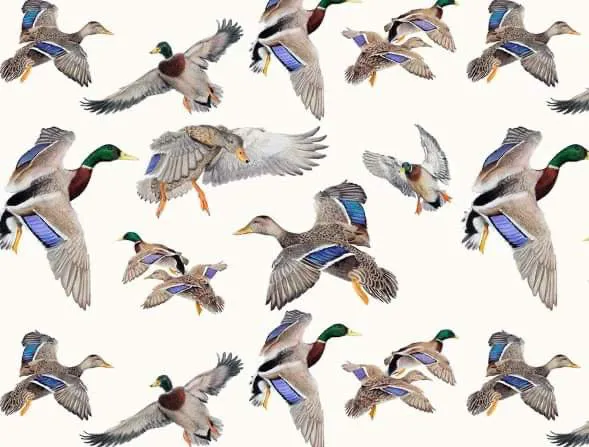 Mallards in flight top knot headband