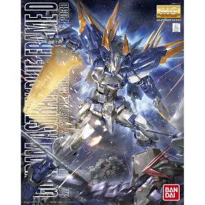 MG Gundam Astray Blue Frame D