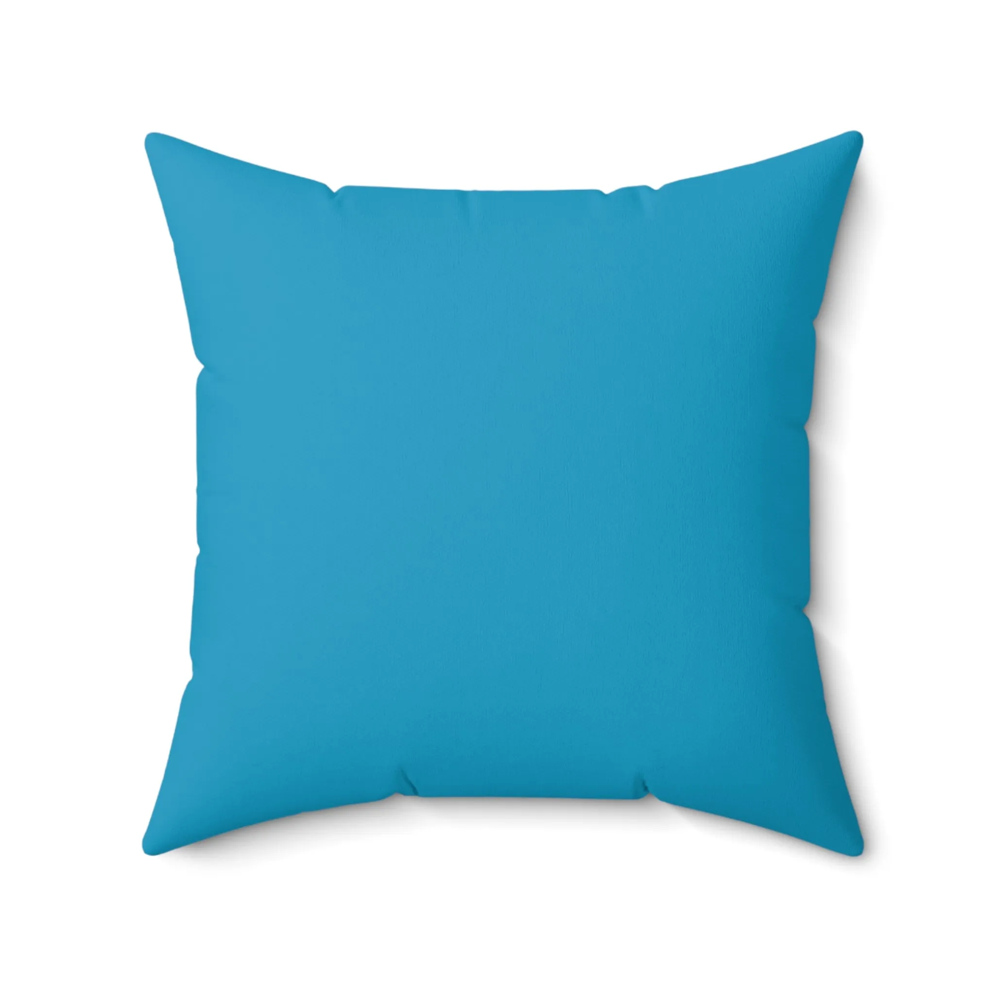 Netherlands Decor Pillow