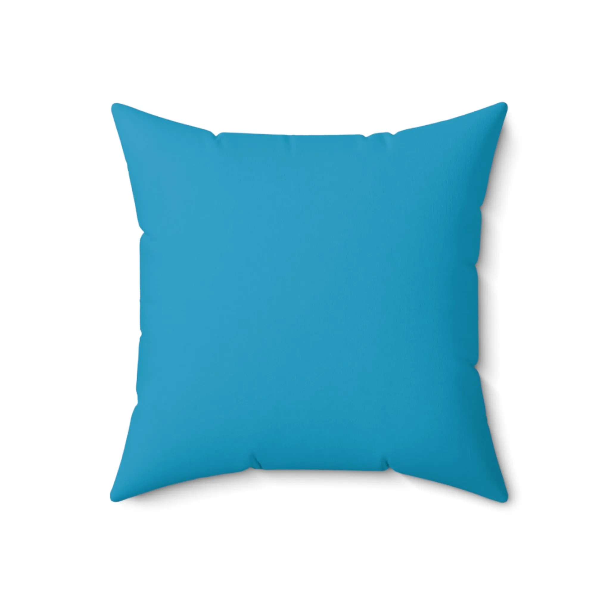 Netherlands Decor Pillow