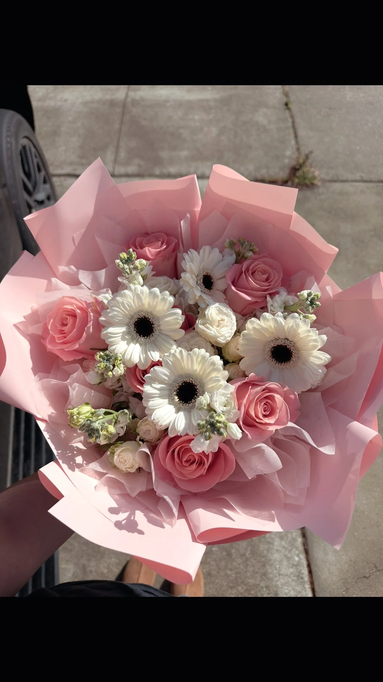 Pastel Chic