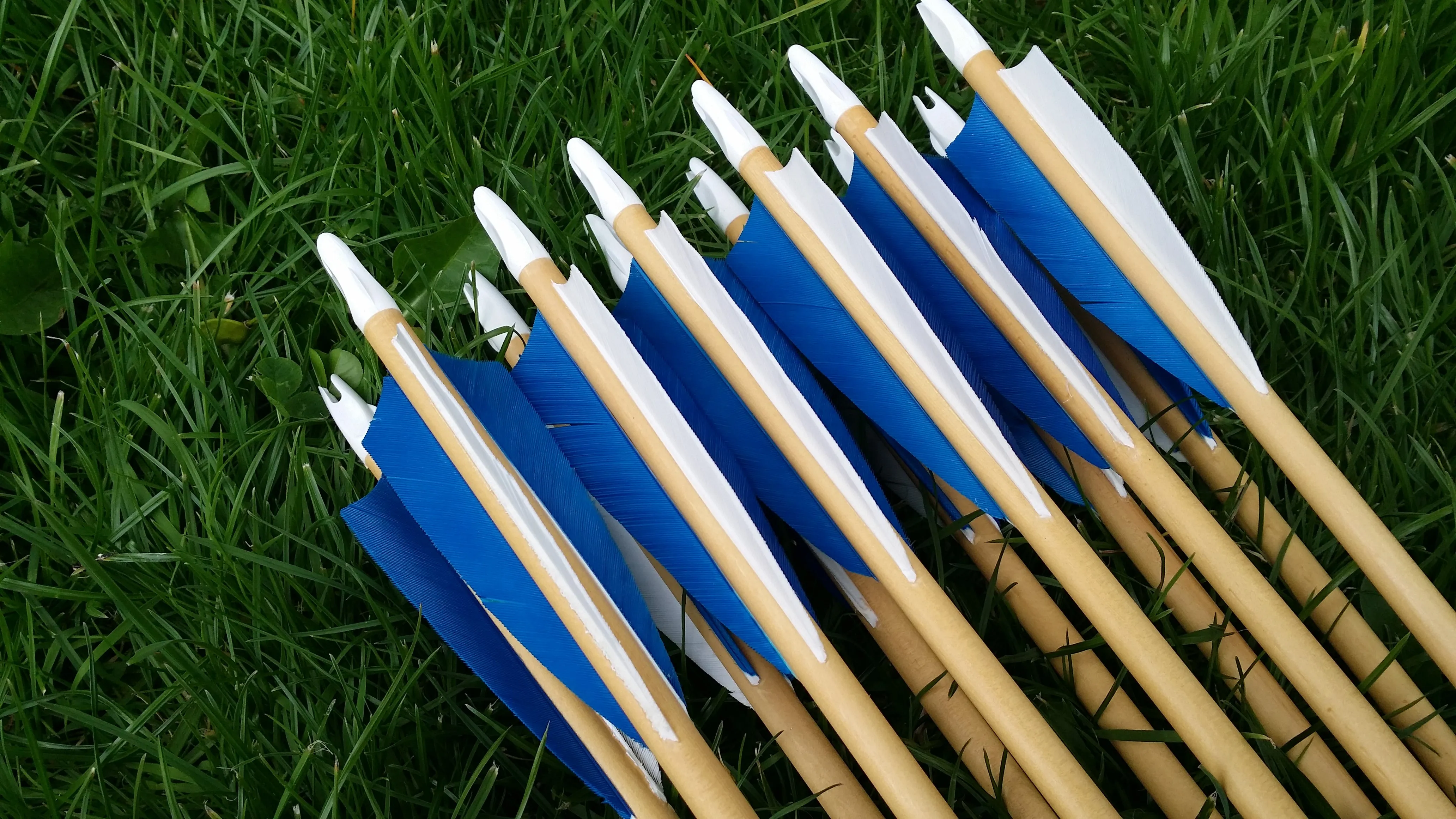 Premium Arrows - 1 Dozen