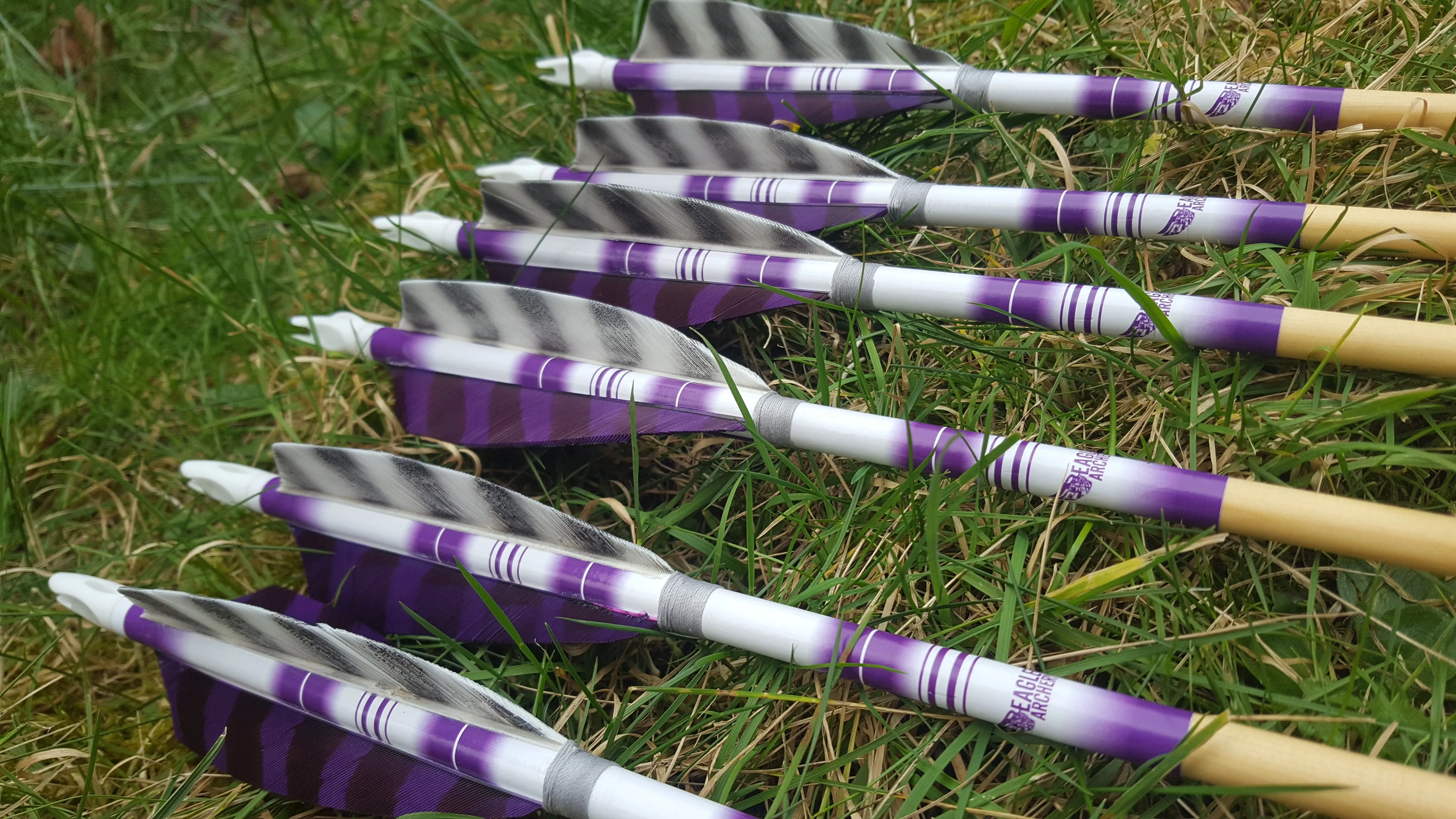 Premium Arrows - 1 Dozen