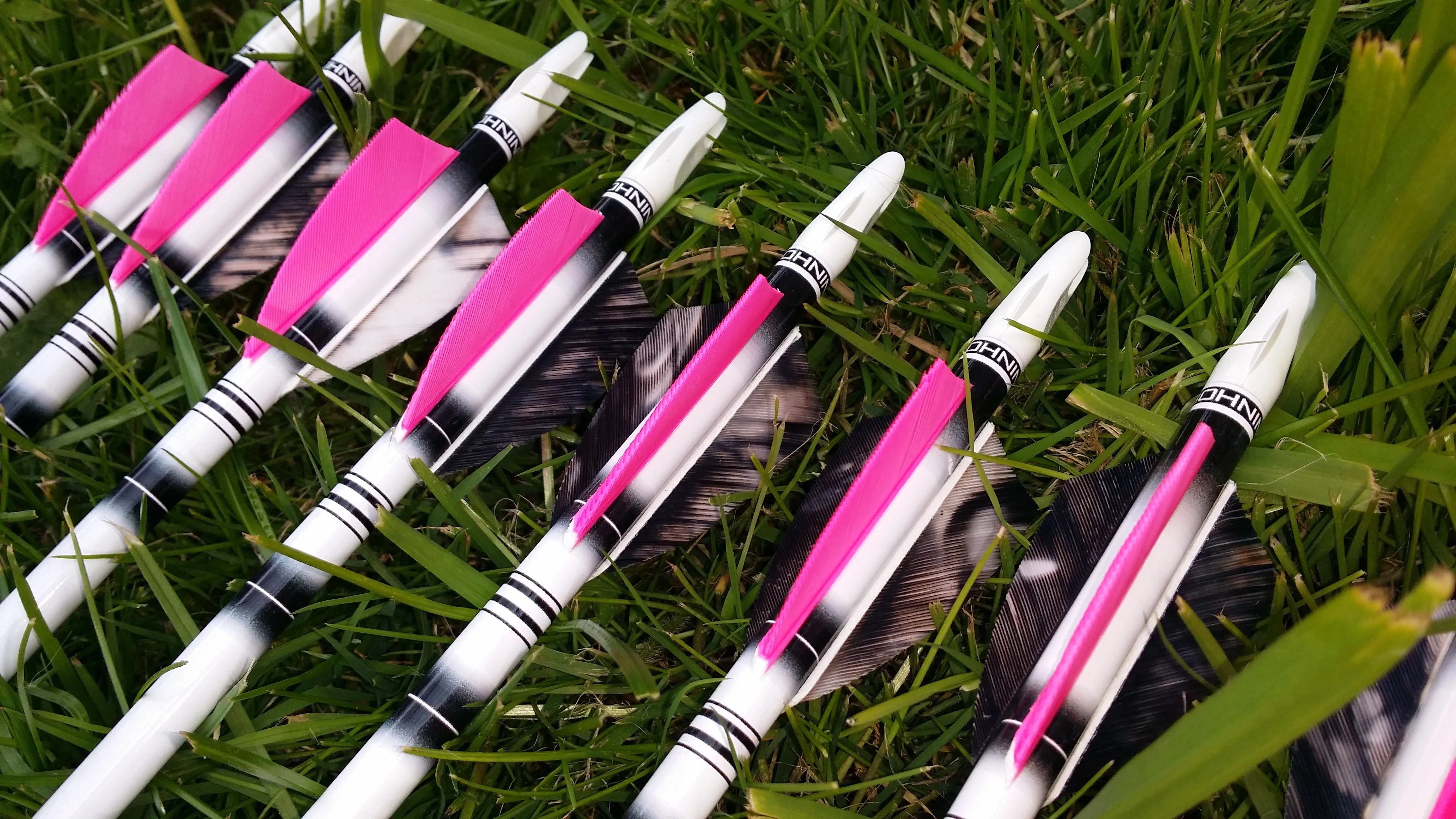 Premium Arrows - 1 Dozen