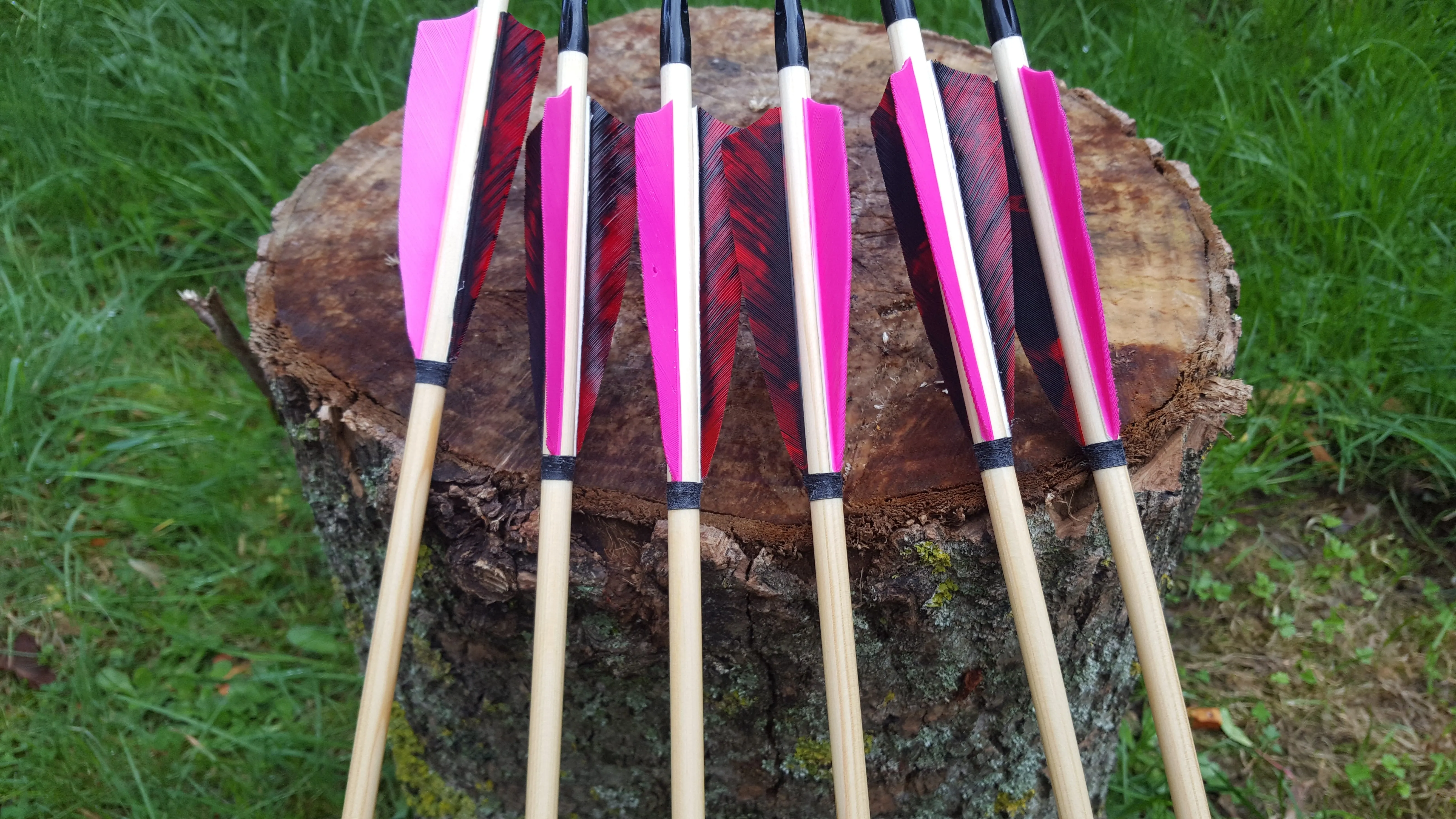 Premium Arrows - 1 Dozen