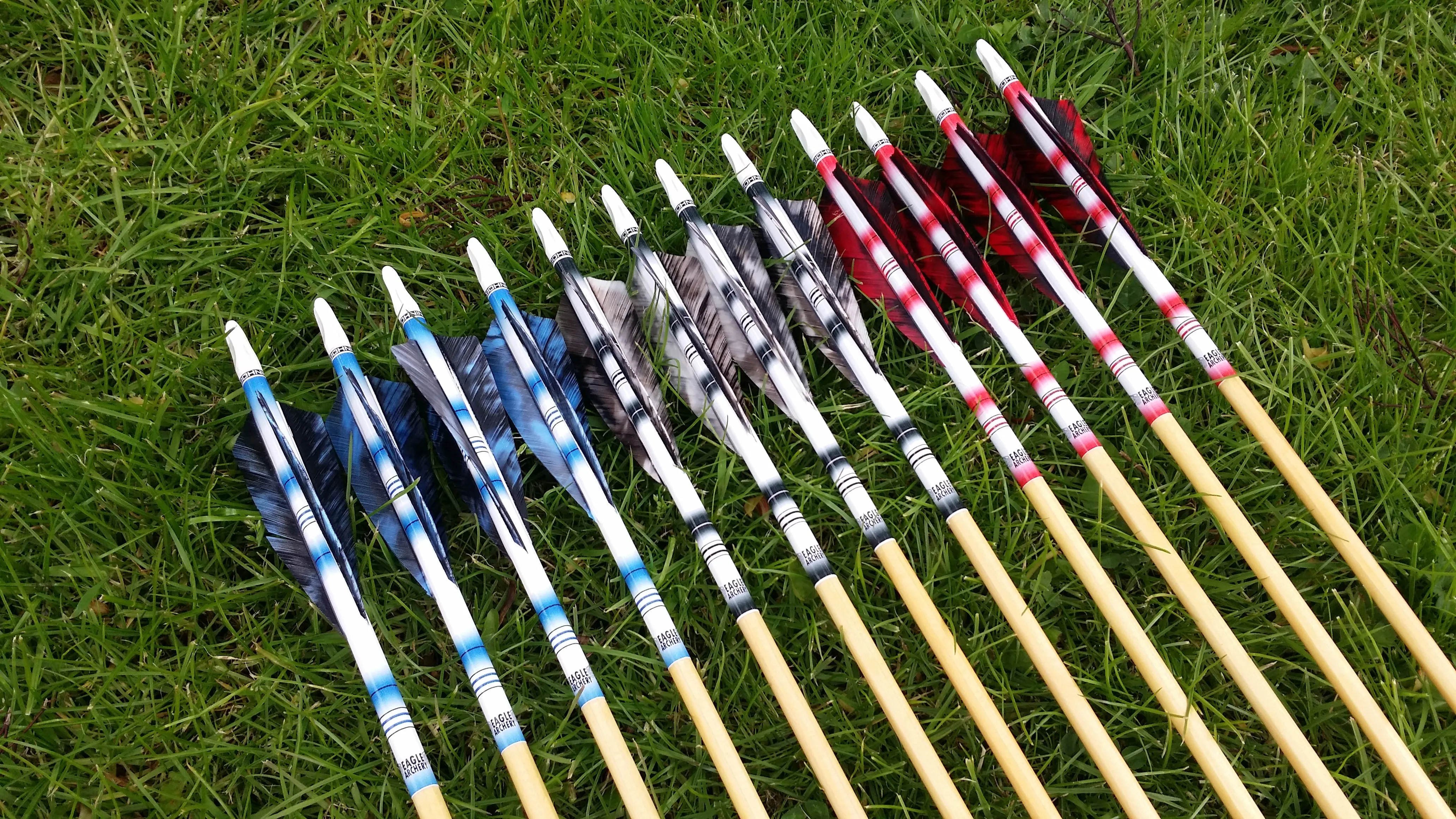Premium Arrows - 1 Dozen