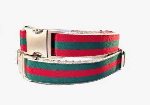 Pucci Green