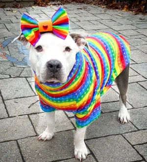 Rainbow Pop It PAWjama