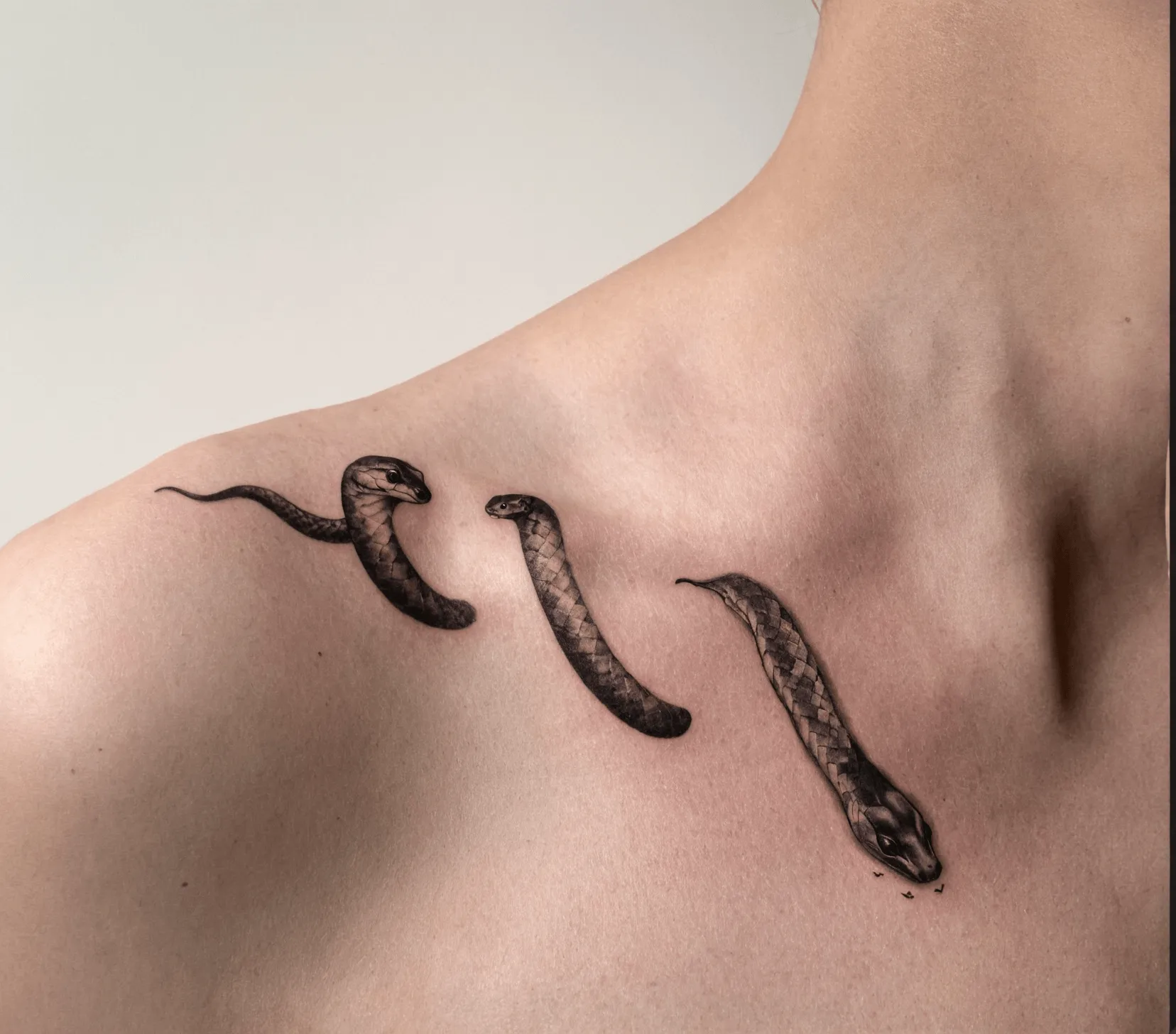 Serpent Clavicle Tattoo – Artful, Waterproof, and Long-Lasting
