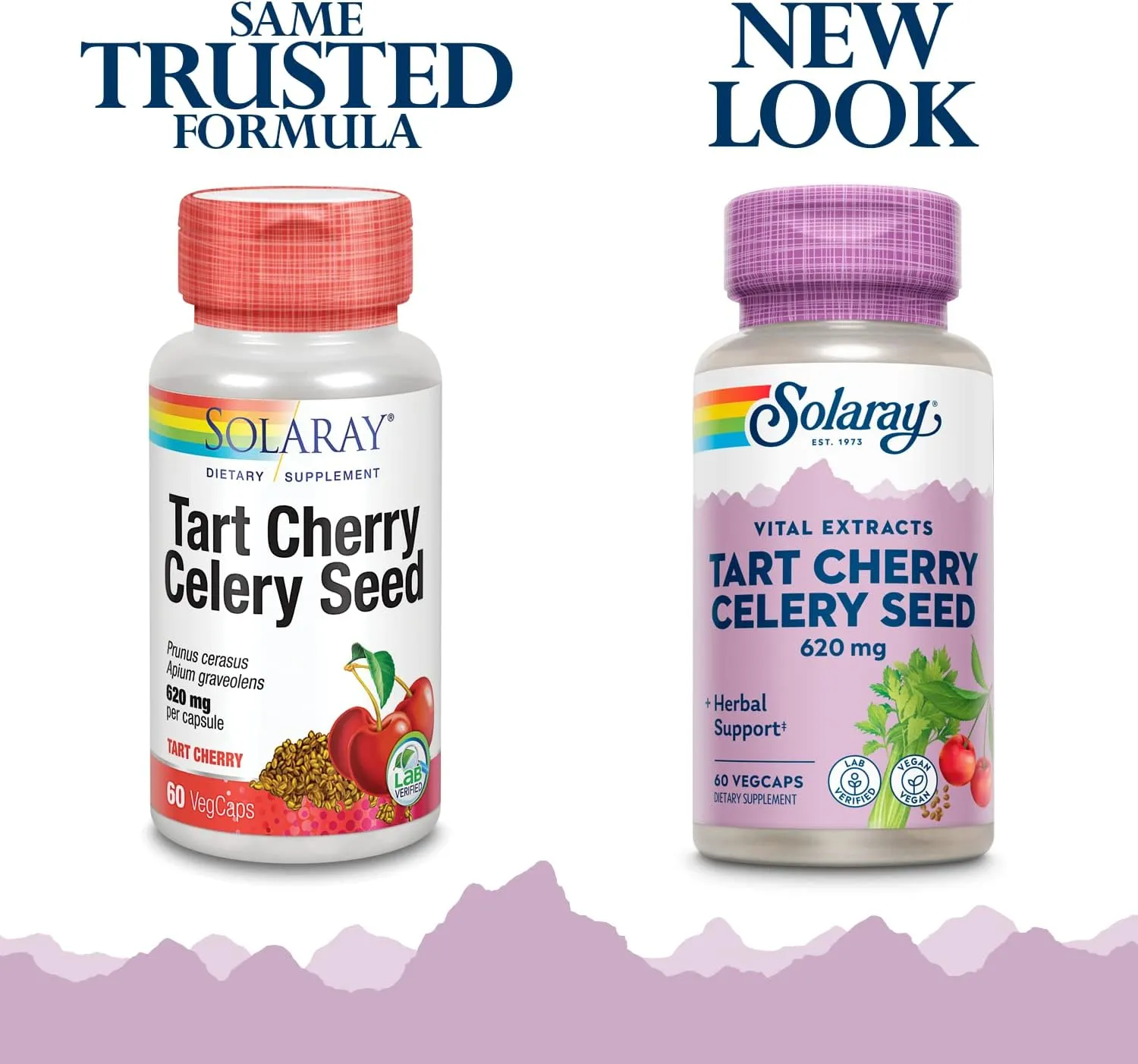 Solaray Tart Cherry & Celery Seed | Healthy Uric Acid Levels, Joint, Muscle Recovery & Sleep Support | 60 VegCaps