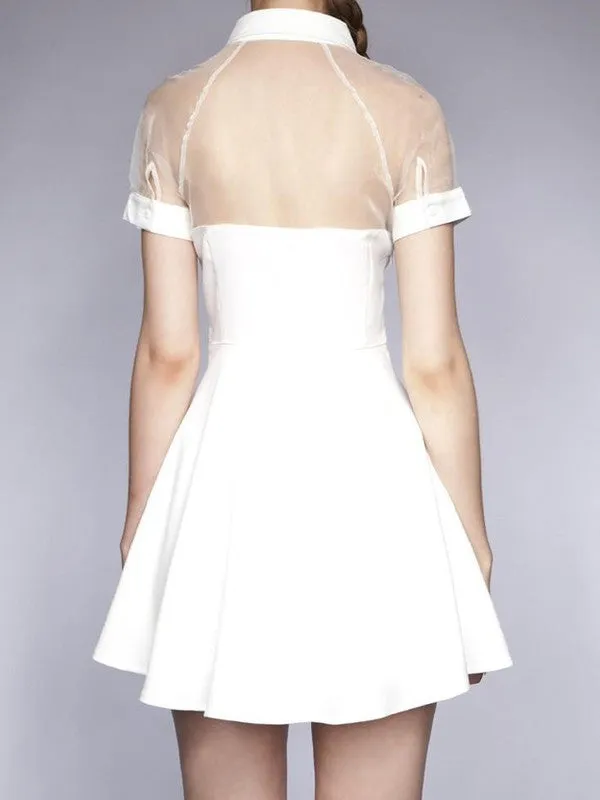 Spring collection - mesh top sweetheart skater dress