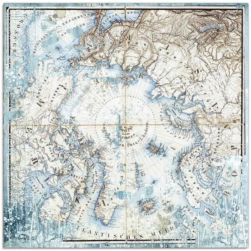 Stamperia - 12x12 Designer Paper - Arctic Antarctic - Arctic