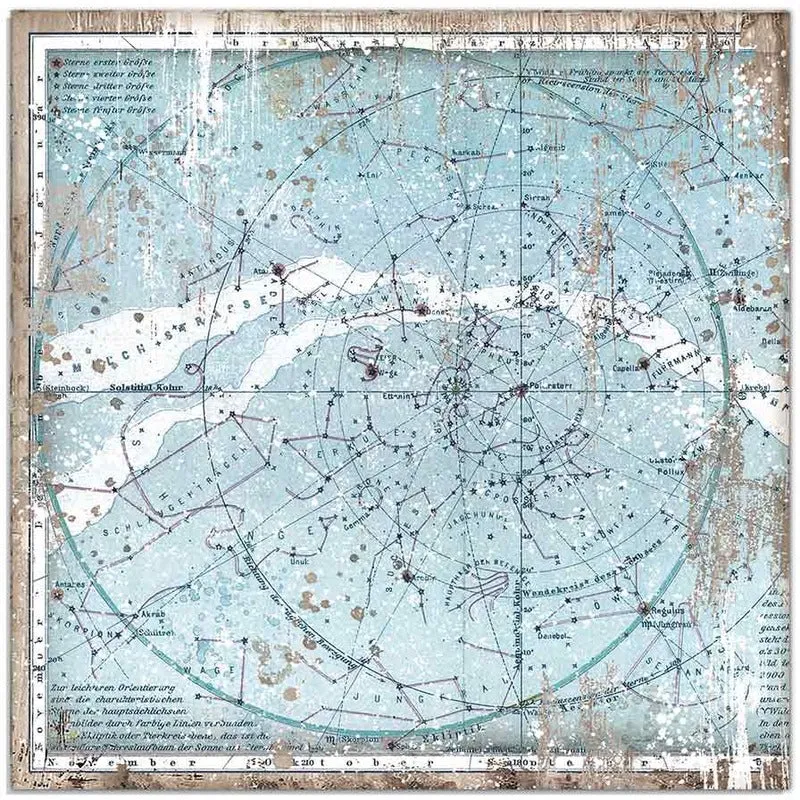 Stamperia - 12x12 Designer Paper - Arctic Antarctic - Arctic