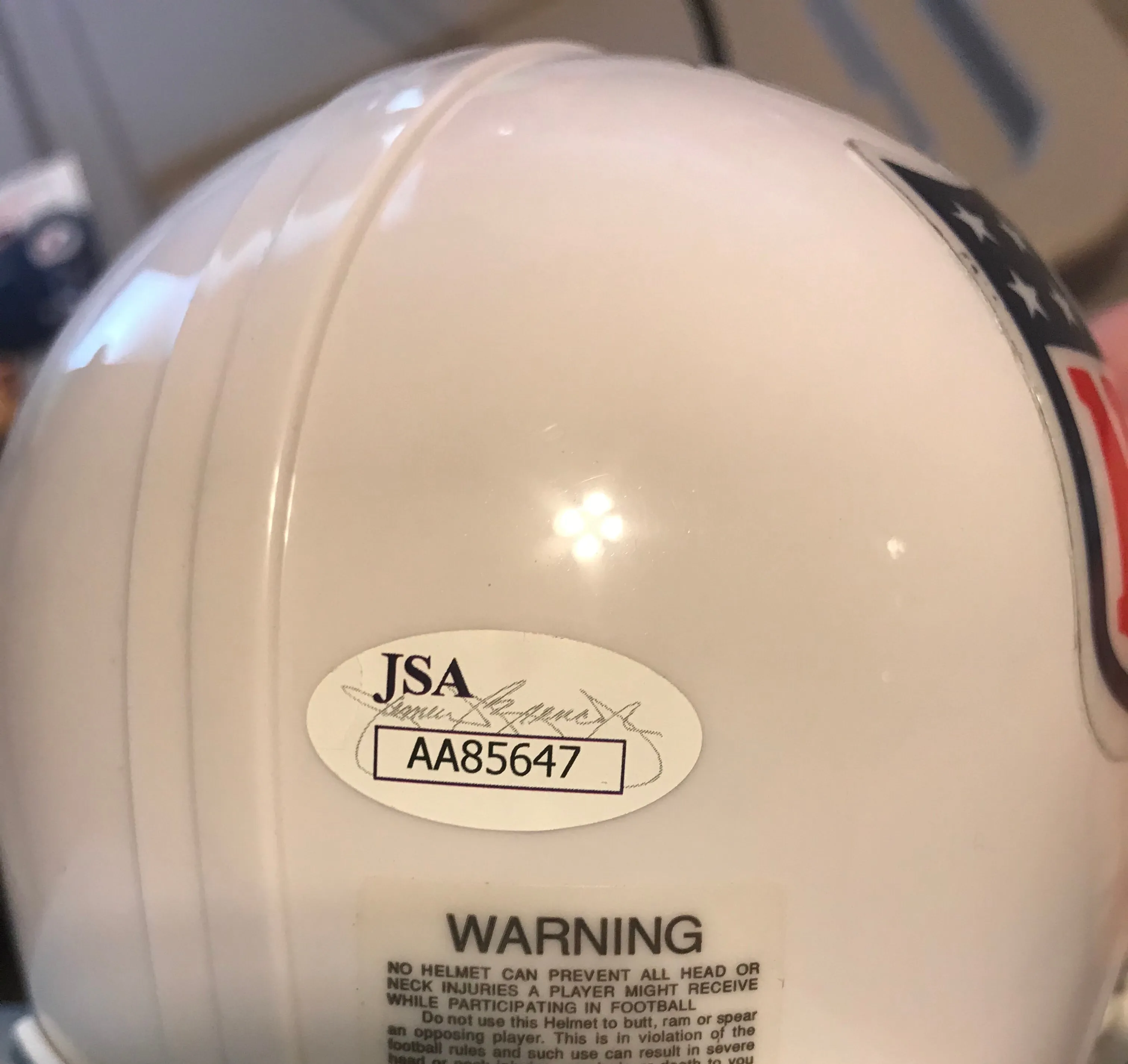 Tim Brown Autographed NFL Mini Helmet w/JSA