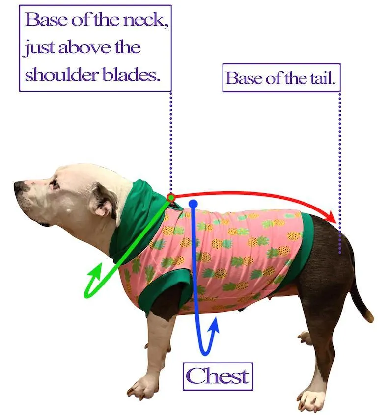 Woof Pack - Dog Pajama with Red Neck & Trim/Sleeves